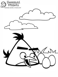 Omalovánky Angry Birds