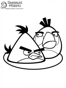 Omalovánky Angry Birds
